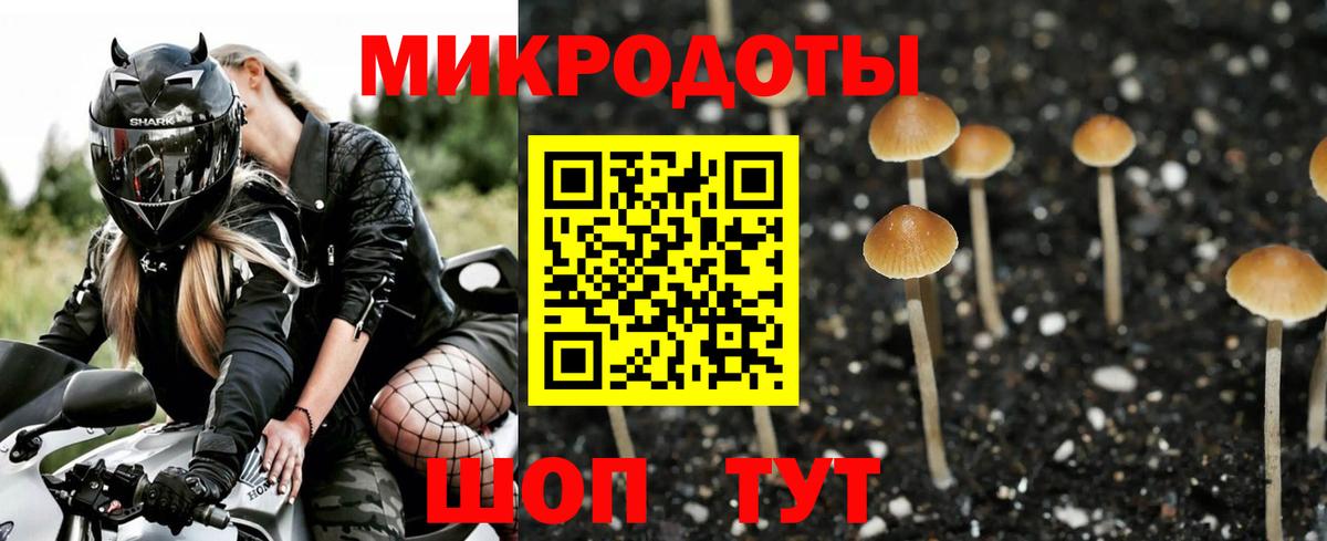 Анжеро-Судженск  Галлюциногенные грибы Cubensis  Вход с VPN 
